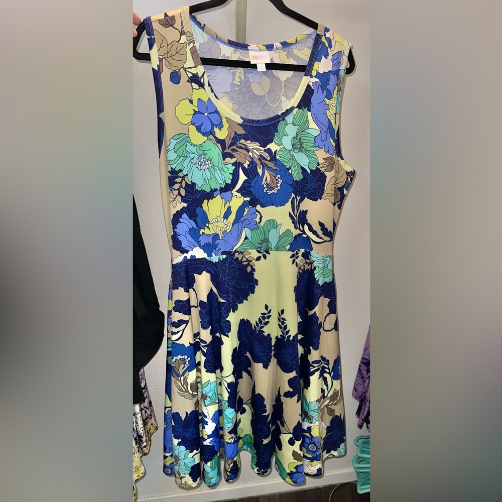 Lularoe Nicki XL Floral